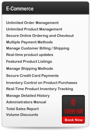 e-commerce website development