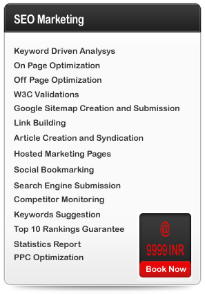 search engine optimization services